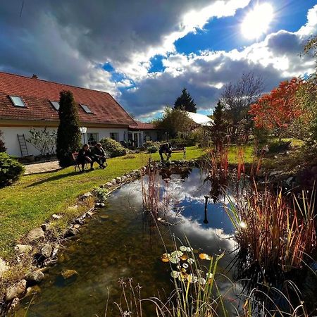 Pilisi Lovas Major, Dorog Bed and Breakfast Eksteriør billede